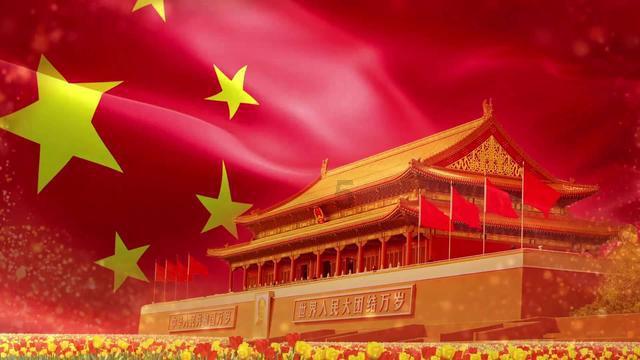寻找萌宠松鼠