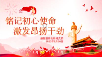 乐高都市卧底风云